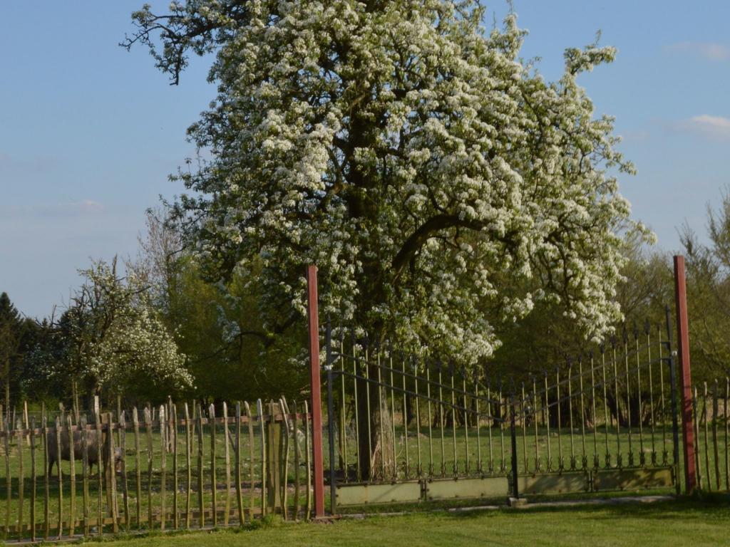 With A Broad View Over The Hilly Landscape Flobecq Buitenkant foto